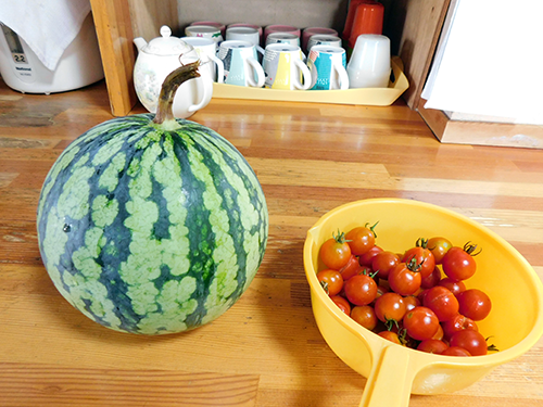 いきいきふれあい市川新田の写真4