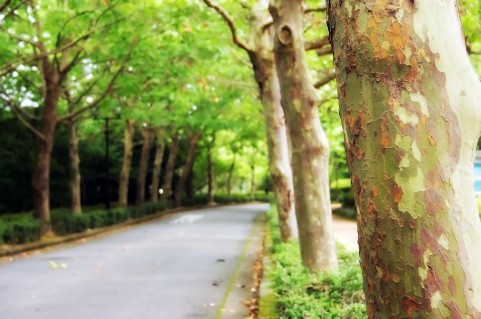 胃腸科内科北川医院の写真1