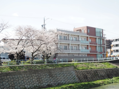 香流川翔裕園の写真1