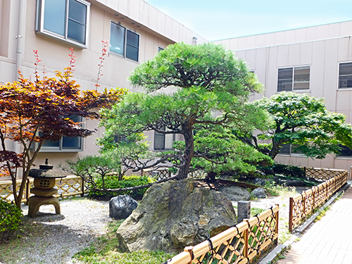 介護付有料老人ホーム南王子さくら館の写真4