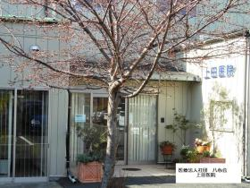 上田医院の写真1