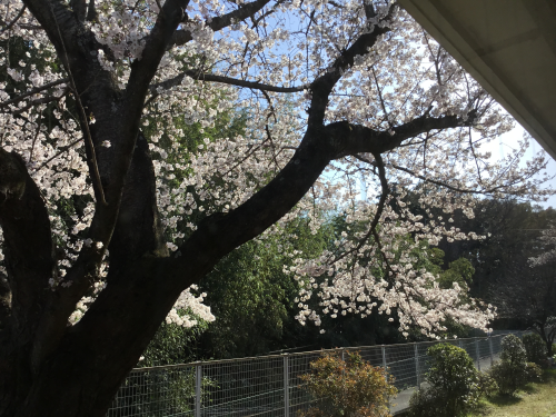 介護老人福祉施設　はすだの森の写真3