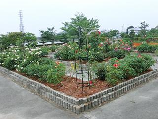 いなみ野病院の写真3