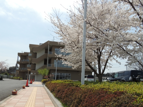 介護老人保健施設シルバーケア松戸の写真1
