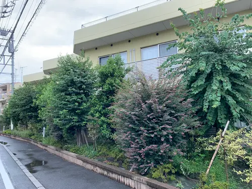 上高井戸大地の郷みたけの写真1003