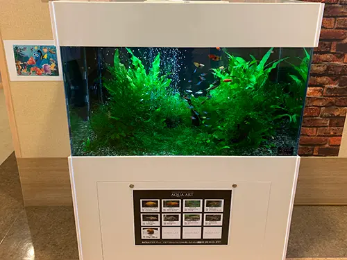 特別養護老人ホーム 飛鳥晴山苑の写真3103
