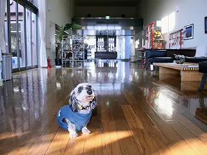 フォーシーズンズヴィラこもれびの写真3103