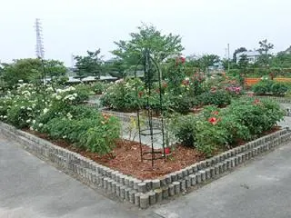 いなみ野病院の写真1003