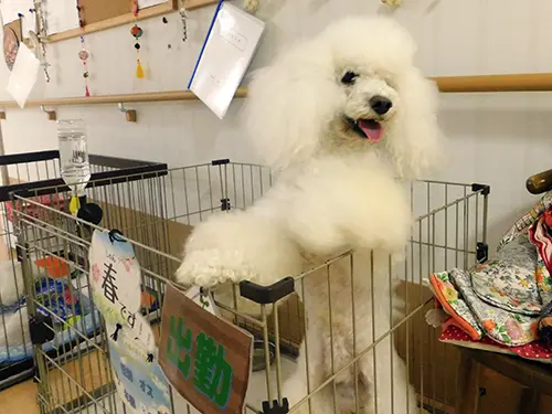 アグリ・ケアホームいこいの森の写真3103