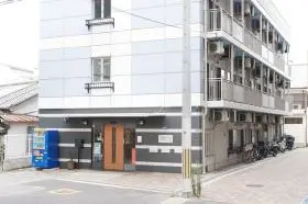 サボテンの花の写真