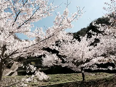 虹の橋葵ホスピタルの写真