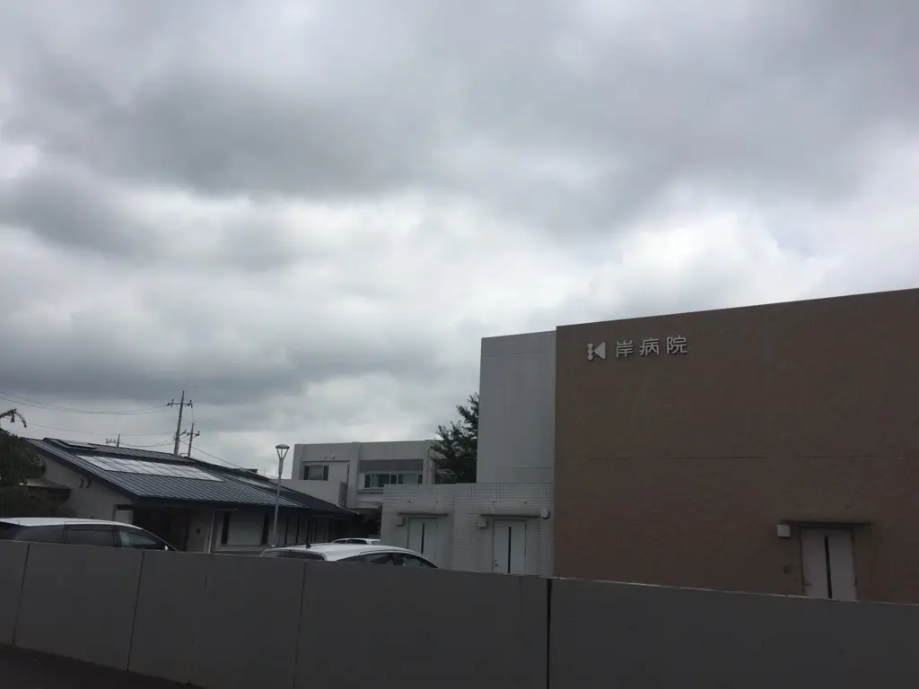 岸病院