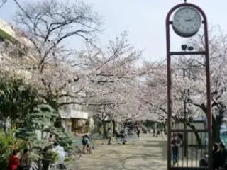 まどか武蔵新城の写真1002