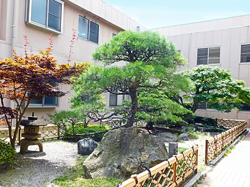 介護付有料老人ホーム南王子さくら館の写真3102