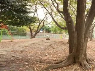 くらら宮前平の写真1002