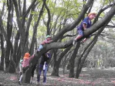 救護施設昭島荘の写真1002