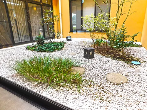 馬室たんぽぽ翔裕園の写真3103