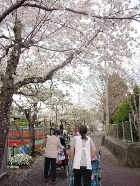 つばさ静岡の写真1002