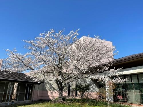 四季折々のイベント中、見守りだけでなく出演者として看護師が参加することもあります