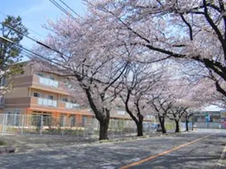 ここち西船橋の写真1003