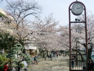 まどか武蔵新城の写真2